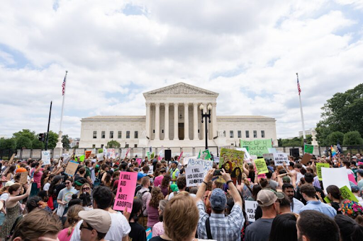 Photo, from behind, of a large group of protesters in front of the U.S. Capitol building