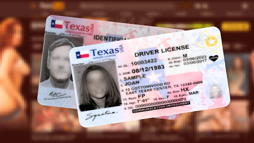 Visual of drivers' licenses with faces blurred out