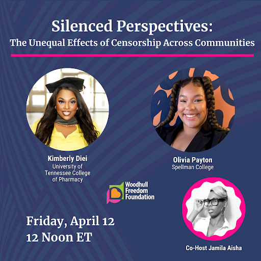 Silenced Perspectives: The Unequal Effects of Censorship Across Communities - event poster